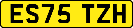 ES75TZH