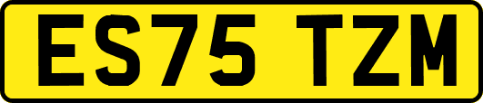 ES75TZM