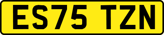 ES75TZN