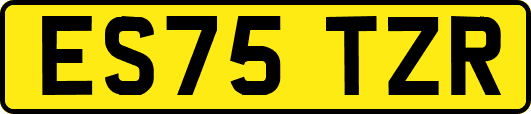 ES75TZR