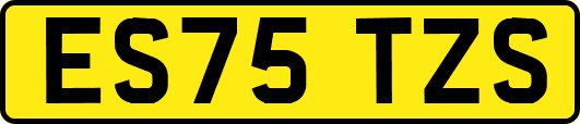 ES75TZS