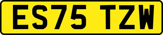 ES75TZW