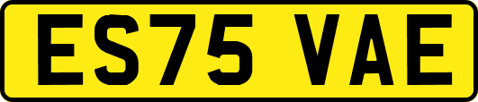 ES75VAE
