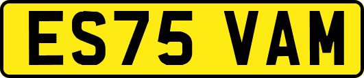ES75VAM