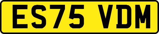 ES75VDM