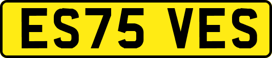 ES75VES