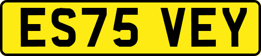 ES75VEY