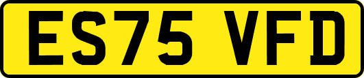 ES75VFD