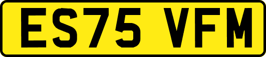 ES75VFM