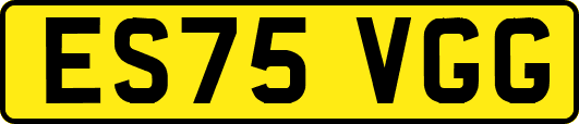 ES75VGG