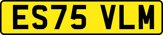 ES75VLM