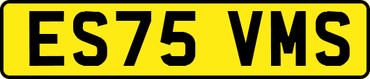 ES75VMS