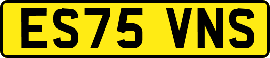 ES75VNS