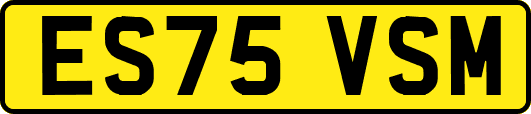 ES75VSM