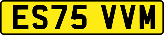 ES75VVM