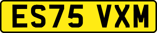 ES75VXM