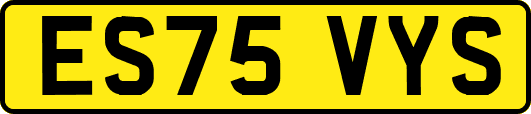 ES75VYS