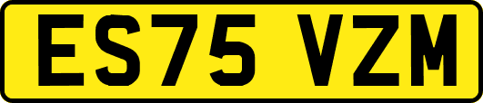 ES75VZM