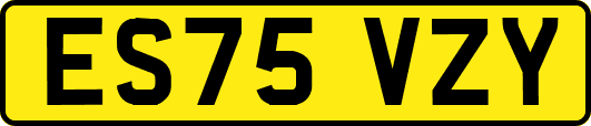 ES75VZY