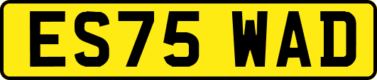 ES75WAD