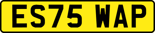 ES75WAP