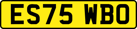 ES75WBO