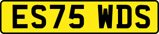 ES75WDS