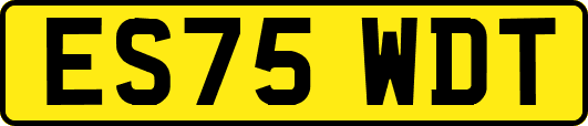 ES75WDT