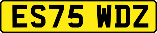 ES75WDZ