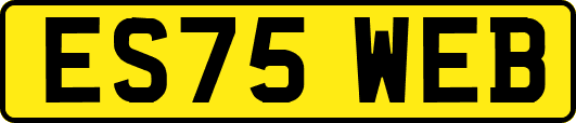 ES75WEB
