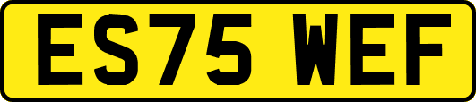 ES75WEF