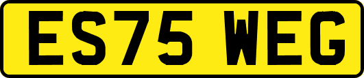 ES75WEG