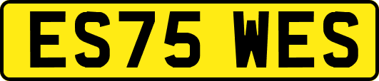 ES75WES