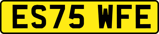ES75WFE