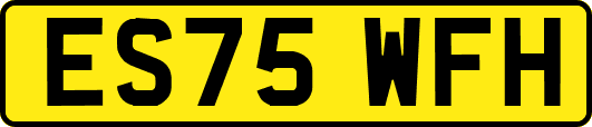 ES75WFH