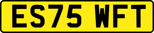 ES75WFT
