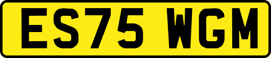ES75WGM