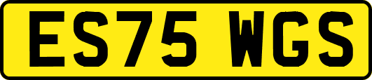 ES75WGS