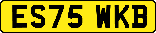 ES75WKB