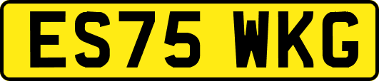 ES75WKG