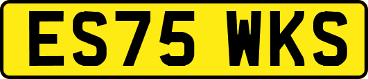 ES75WKS