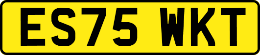 ES75WKT
