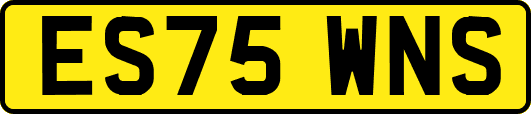 ES75WNS