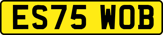 ES75WOB