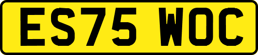 ES75WOC
