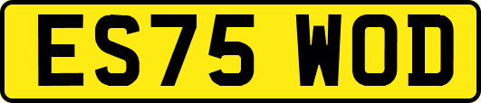 ES75WOD