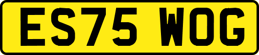 ES75WOG
