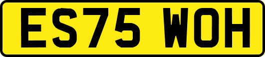 ES75WOH