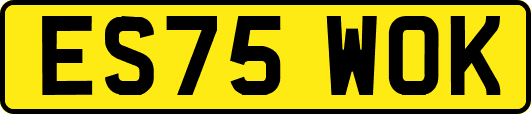 ES75WOK