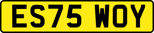 ES75WOY